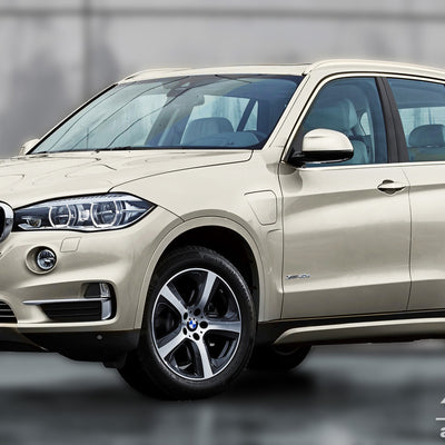Ladekantenschutz für BMW X5 F15 Silber Matt