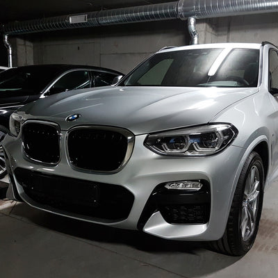 Ladekantenschutz für BMW X3 G01 Silber Matt