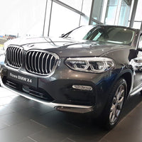 Ladekantenschutz für BMW X4 II GO2 Silber Matt
