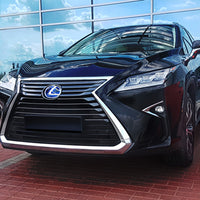 Ladekantenschutz für Lexus RX Silber Matt