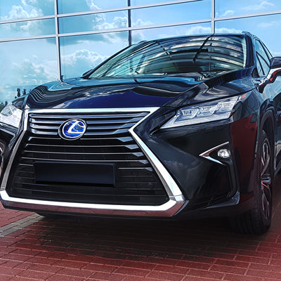 Ladekantenschutz für Lexus RX Silber Matt