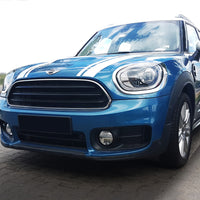 Ladekantenschutz für Mini Countryman F60 Crossover FL Silber Matt