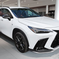 Ladekantenschutz für Lexus NX II Silber Matt