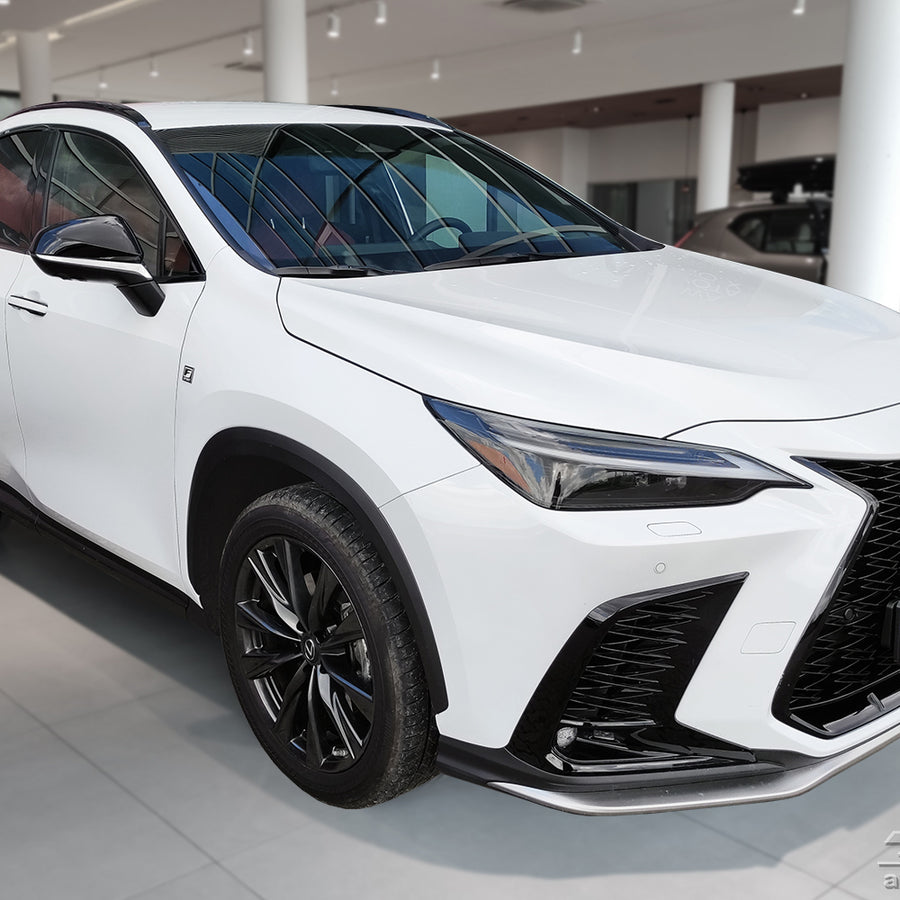 Ladekantenschutz für Lexus NX II Silber Matt