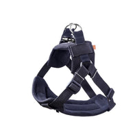 Kardi Air 3D Sicherheitsgurt für Hunde